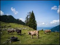 wandern schweiz glarnerland kerenzerberg